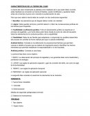 CARACTERÍSTICAS DE LA TEORÍA DEL CASO