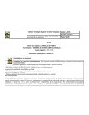 Plan de estudios: INGENIERIA EN SISTEMAS COMPUTACACIONALES