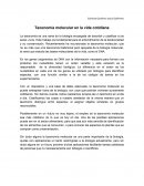 Taxonomía molecular en la vida cotidiana