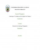 Espacio Pedagógico: Liderazgos Y Conducción De Equipos De Trabajos