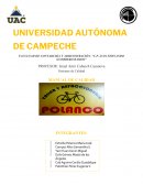 Sistemas de Calidad MANUAL DE CALIDAD