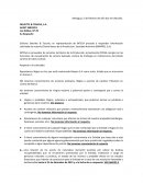 DELOITTE & TOUCHE, S.A AUDIT SERVICES