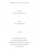 INFORME DE LA VISITA A LA MINA DEL CERREJON