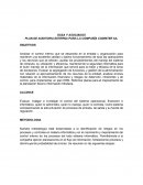 PLAN DE AUDITORIA EXTERNA PARA LA COMPAÑÍA CODINTER SA