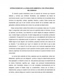 INTERACCIONES DE LA LEGISLACIÓN AMBIENTAL CON OTRAS ÁREAS DEL DERECHO