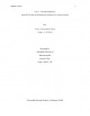 Desarrollo de temas de profundización introducción a la macroeconomía