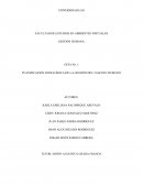 PLANIFICACIÓN ESTRATÉGICA DE LA GESTIÓN DEL TALENTO HUMANO