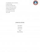 Introducción a la Psicología Clínica