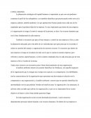 Conclusion de Capital Humano