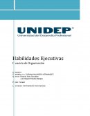 Habilidades Ejecutivas Creación de Organización