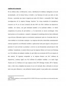 Caso xiaomi. Matriz FODA de Xiaomi