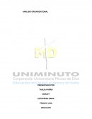 ANALISIS ORGANIZACIONAL