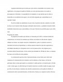 Programas de estudio