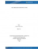 APLICABILIDAD DEL PRESUPESTO Y TIPOS