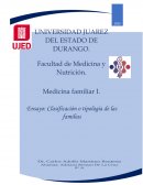 Ensayo clasificacion familiar