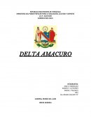 Delta amacuro y sus raices