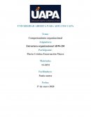 Estructura organizacional ADM-330