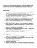 Alimentos que ayudan a la desintoxicación del cuerpo