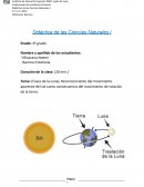 Reconocimiento del movimiento aparente del sol como consecuencia del movimiento de rotación de la tierra