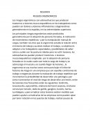 RESUMEN RIESGOS ERGONOMICOS