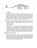 Sistemas Integrados de Manufactura esbelta