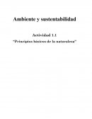 Principios basicos de la naturaleza