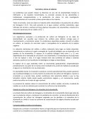 Corrosión y olores en tuberías