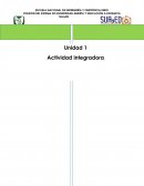 Enfermería Fundamental. Concepto argumentado de enfermería