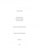 INTERACCIÓN DE LAS TICS Y EL APRENDIZAJE