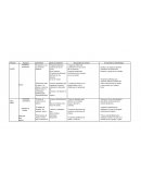 PLANIFICACION DE MATEMATICA