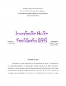 Investigación acción participativa