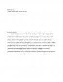 Administracion financiera empresa Veguita de José