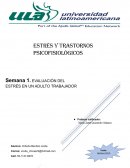 Evaluación del estrés en un adulto trabajador