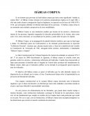 Ensayo de habeas corpus