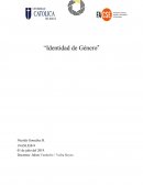 Identidad de genero