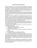 Agricultura de base ecológica