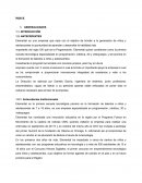 PRACTICA PRE PROFESIONAL, empresa Elemental