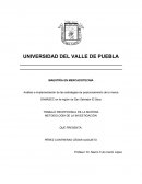 Análisis e implementación de las estrategias de posicionamiento de la marca GAMASEC en la región de San Salvador El Seco