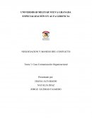 Tarea 3. Caso Comunicación Organizacional