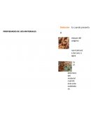 PROPIEDADES DE LOS MATERIALES