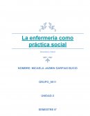 La enfermería como práctica social