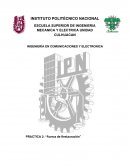 PRACTICA 2: “Fuerza de Restauración”