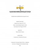 Infografía sobre la planificación de un proyecto social