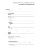 Derecho laboral mujer embarazada