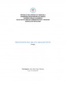 Prevención del delito adolescente