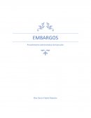 EMBARGOS Procedimiento Administrativo de Ejecución