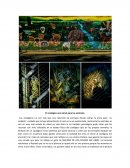 EL ZOOLOGICO ES LA CARCEL PARA LOS ANIMALES