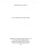 PRGRAMA DE ADMINISTRACION FINANCIERA. ANALISIS Y DIAGNOSTICO ORGANIZACIONAL