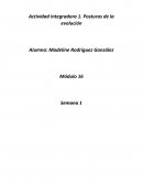 Posturas de la evolución