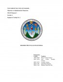 Buenas praticas financieras